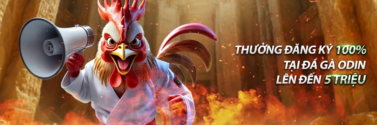 Hình ảnh trang đăng nhập an toàn của Đá Gà Thomo Hôm Nay